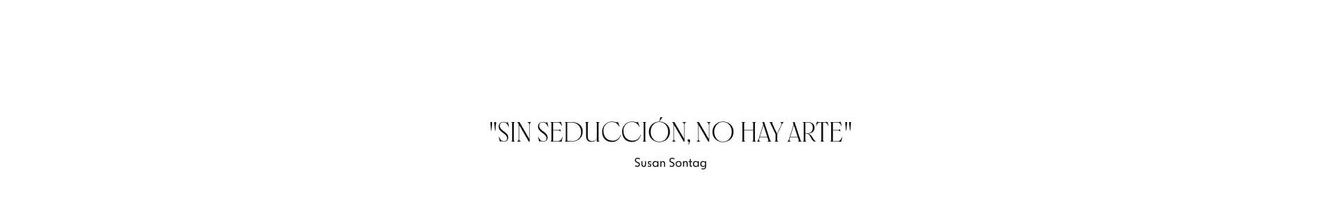 Sin seducción, no hay arte - susan sontag